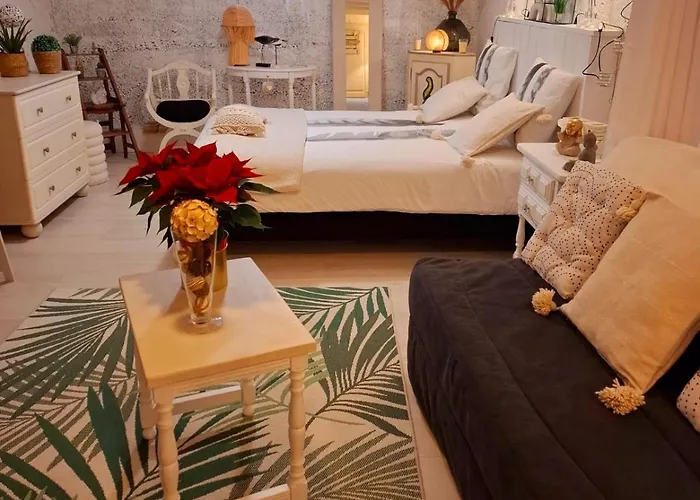 Apartment Le Petit Nicol *